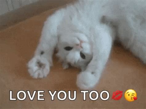 With Tenor, maker of <b>GIF</b> Keyboard, add popular <b>I Love</b> And Appreciate <b>You</b> animated <b>GIFs</b> to your conversations. . I love you too funny gif